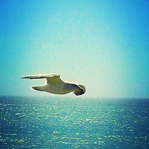 Meet your Posher, Tami